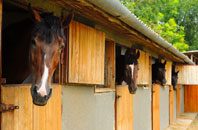 free Pelaw stable construction quotes